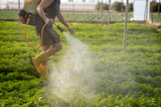 Best Affordable Pest Control Services  in North Randall, OH