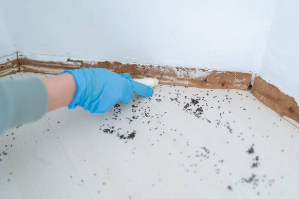 Best Exterminator Services  in North Randall, OH